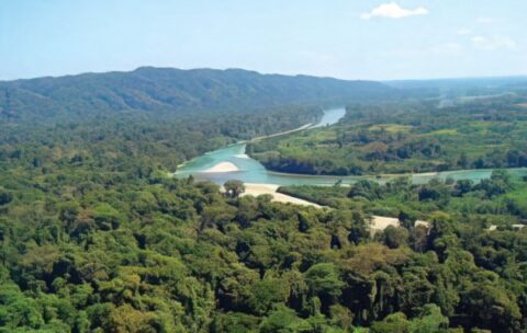 Reserva de la Biósfera Montes Azules.