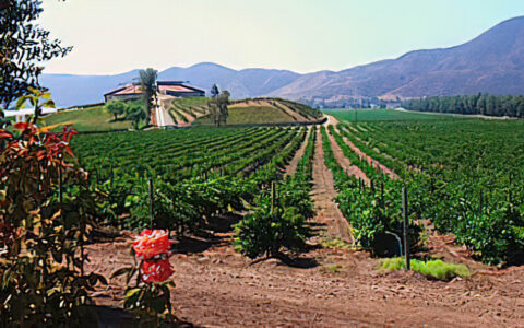 Valle de Santo Tomás