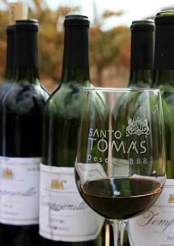 Vinos de Santo Tomás.