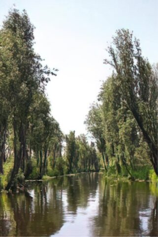 Canales de Xochimilco.