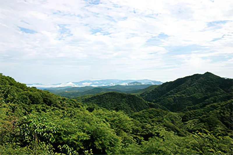 Reserva ecológica Cosalá.