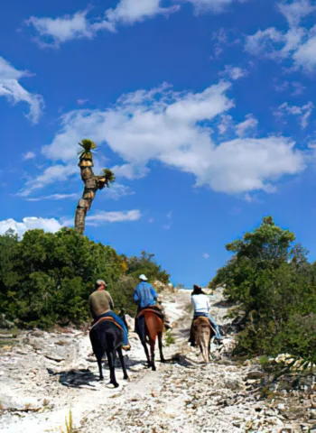 Cabalgata en El Realejo