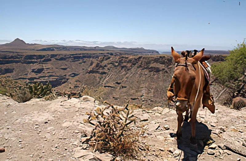 Cañón de Santa Teresa