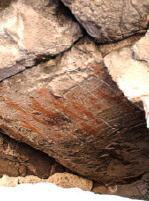 Cueva de los Músicos