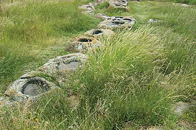 Zona arqueológica de Plazuelas. Serpiente