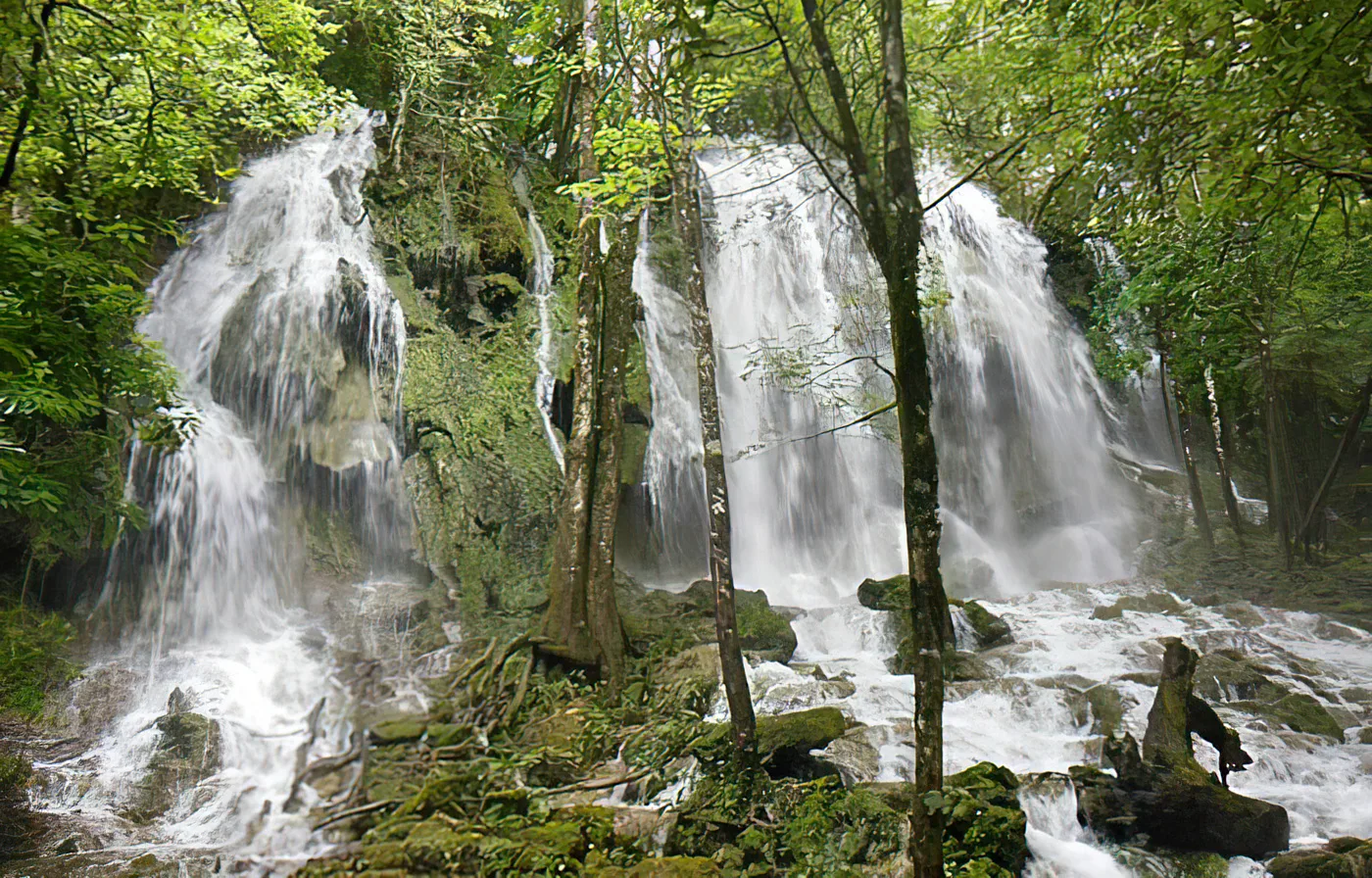 Reserva de la Biósfera El Cielo