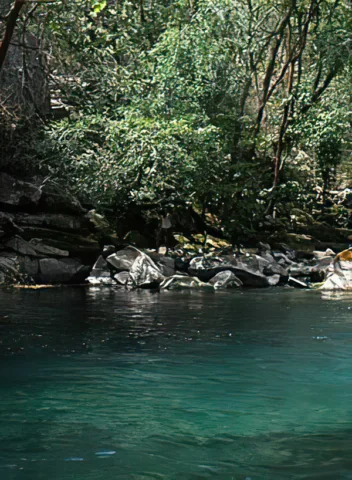 Río en la zona