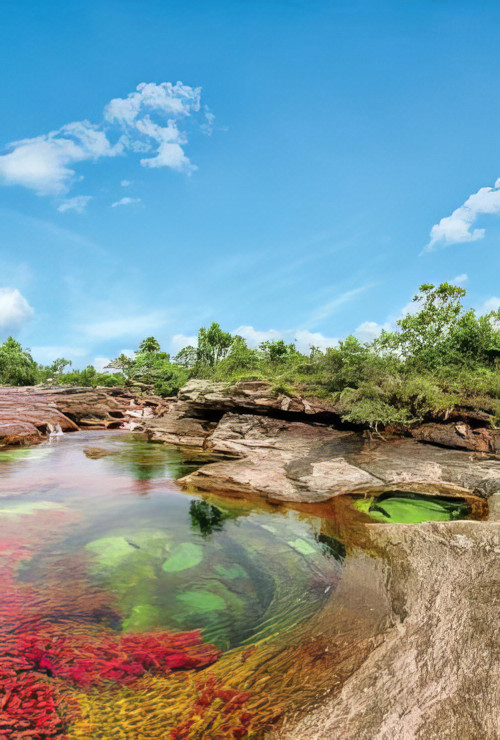 Caño Cristales