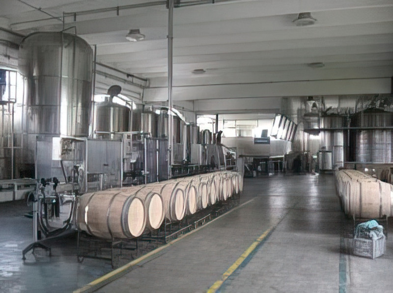 En Freixenet se producen los más deliciosos vinos espumosos como el Sala Vivé y el Viña Dolores